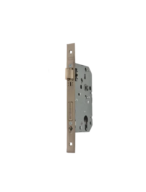 Serrure encastrable R6050YR satiné STAP